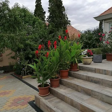 Kaktuszvirag Apartmanhaz Apartment *