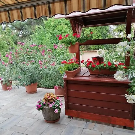 Kaktuszvirag Apartmanhaz * Hajduszoboszlo