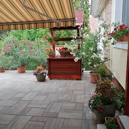 Kaktuszvirag Apartmanhaz * Hajduszoboszlo