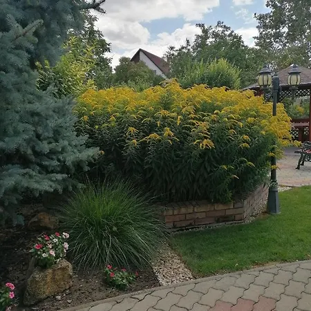 Apartment Kaktuszvirag Apartmanhaz Hajduszoboszlo